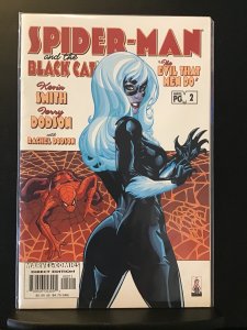 Spider-Man/Black Cat: The Evil that Men Do #2 (2002)