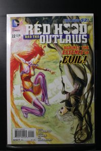 Red Hood and the Outlaws #22 (2013)