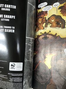 Invincible Red Sonja # 4 Variant (NM) Dynamite Entertainment • Jimmy Palmiotti