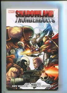 Shadowland: Thunderbolts - Trade Paperback / 1st Print (Used - Very Good) 2011