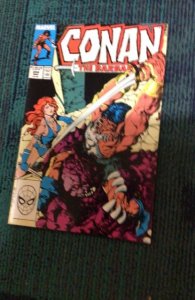 Conan the Barbarian #204 (1988) Red Sonja cover key! High-Grade NM-