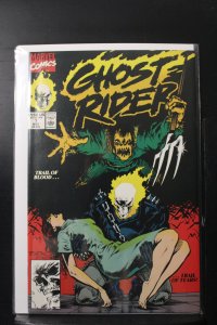Ghost Rider #7 Direct Edition (1990)