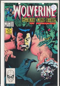 Wolverine #11 (1989) Wolverine