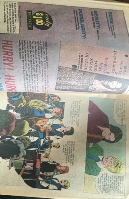 Partridge Family #16 (1973)