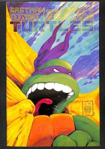 Teenage Mutant Ninja Turtles #22 (1989)