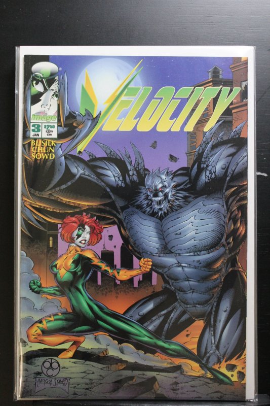 Velocity #3 (1996)