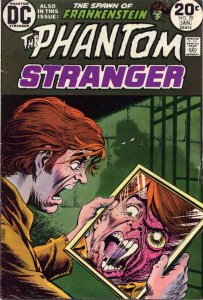 Phantom Stranger, The (2nd Series) #28 FN ; DC | Spawn of Frankenstein 1974