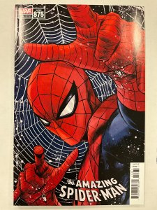 The Amazing Spider-Man #74 Checchetto Cover (2021)