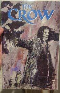 Crow #8 (1999)  