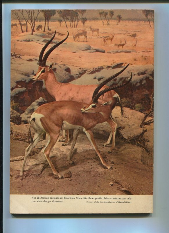 TARZAN'S JUNGLE ANNUAL #4  1955-DELL-EDGAR RICE BURROUGHS-VG+