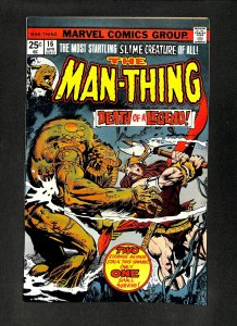 Man-Thing #16