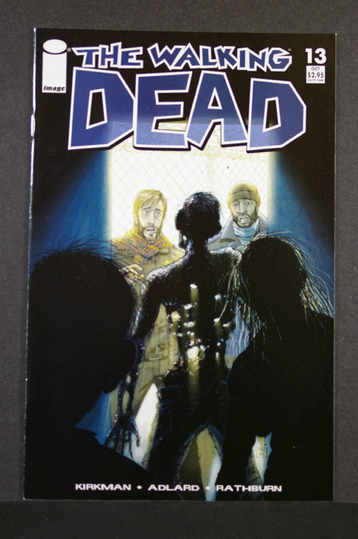 The Walking Dead #13