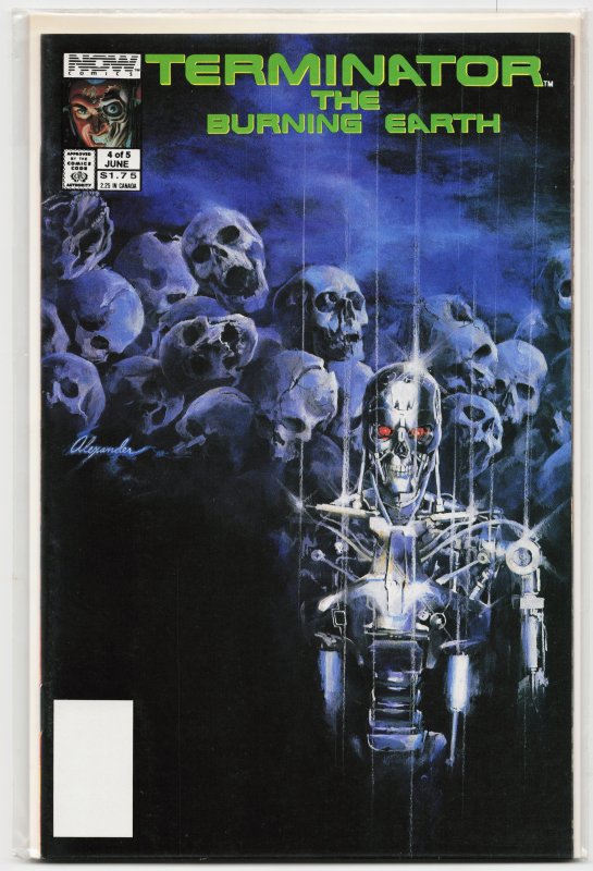 The Terminator: The Burning Earth #4 (1990) The Terminator