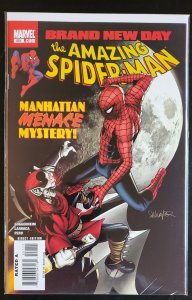 The Amazing Spider-Man #551 (2008)