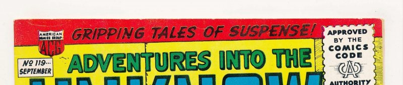 Adventures into the Unknown (1948 ACG) #119 FN+