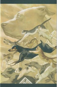Animal Pound # 3 Unlockable Virgin Variant Cover NM Boom! Studios [W9]