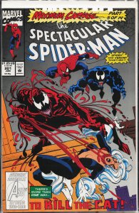 The Spectacular Spider-Man #201 (1993) Spider-Man