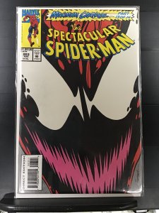 The Spectacular Spider-Man #203 (1993)j