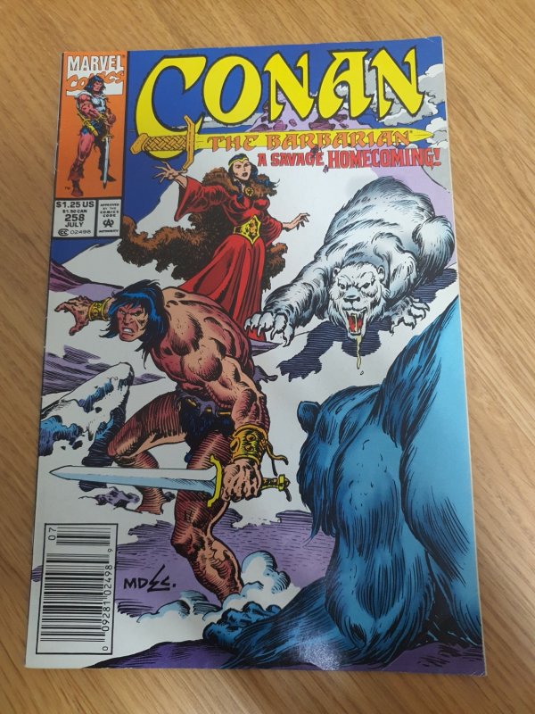 Conan the Barbarian #258 (1992)
