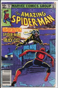 The Amazing Spider-Man #227 (1982) Spider-Man