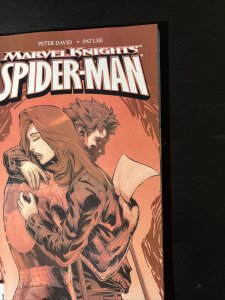 Marvel Knights: Spider-Man #19 (2005 Marvel) 759606055210