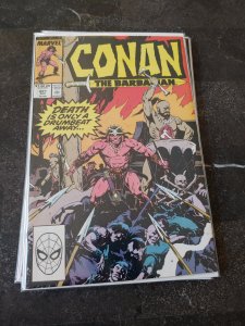 Conan the Barbarian #221 (1989)