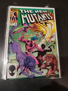 The New Mutants #16 (1984)