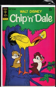 Walt Disney Chip 'n' Dale #20 (1973) Chip 'n' Dale