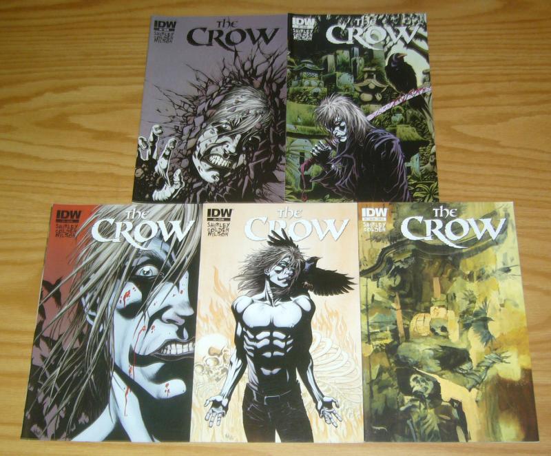 the Crow: Death and Rebirth #1-5 VF/NM complete series - kyle hotz - ashley wood