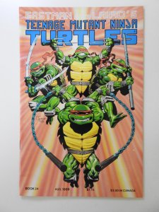 Teenage Mutant Ninja Turtles #24 (1989) VF Condition!