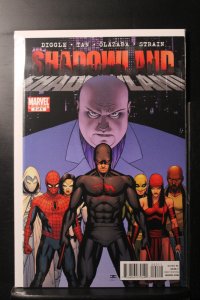 Shadowland #2 Variant Cover (2010)