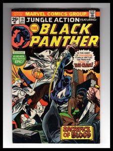 Jungle Action #19 (1976) VG/VG+ Black Panther vs The Klan! Bronze Classic / HCA6