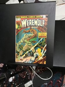 Werewolf by Night #13 (1974). High-grade taboo! VF/NM Wow!