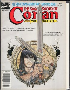 The Savage Sword of Conan #207 (1993) Conan