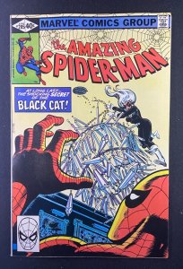 Amazing Spider-Man (1963) #205 VF/NM (9.0) Black Cat