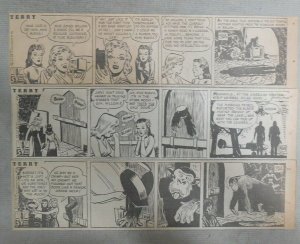 (311) Terry Dailies by Milton Caniff from 1944  Size: 3 x 10 inches