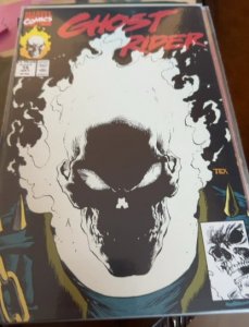 Ghost Rider #15 (1991) Ghost Rider 