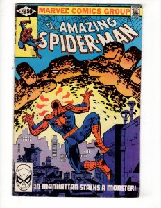 The Amazing Spider-Man #218 (1981) / ID#445