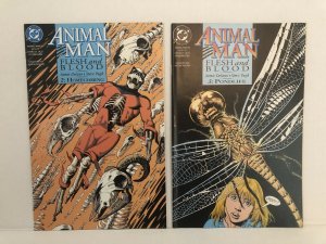 Animal Man #50 - 55 Lot Of 6