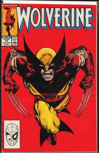 Wolverine #17 (1989) Wolverine