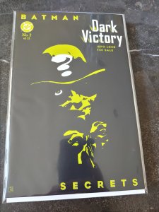 ​BATMAN DARK VICTORY #2 RIDDLER COVER