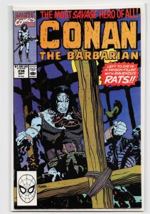 Conan the Barbarian #236 (1990) Conan