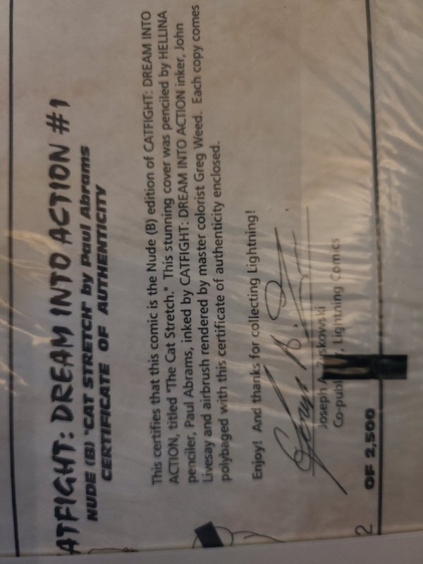 Catfight: Dream Into Action Nude (B) Cat Stretch Variant (1996)