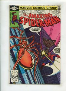 AMAZING SPIDER-MAN #213 (8.0) ALL THEY WANT TO DO IS KILL YOU SPIDER-MAN!! 1980