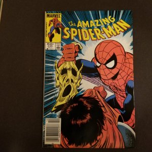 Amazing Spider-Man 245