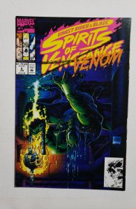 Ghost Rider/Blaze: Spirits of Vengeance #6 Direct Edition (1993)