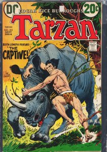 Edgar Rice Burroughs' Tarzan #212 (1972)