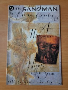 The Sandman #19 Direct Market Edition ~ NEAR MINT NM ~ 1990 DC Comics