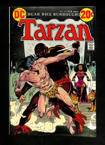 Tarzan (1972) #217