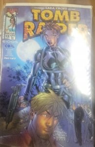 Tomb Raider 13